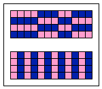 12×4 cells of the agar